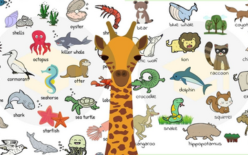 Nazwy zwierząt w języku angielskim na zdjęciach iz tłumaczeniem