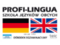 Profi-Lingua - kursy języka angielskiego