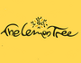 The Lemon Tree - kursy języka angielskiego