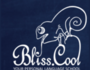 Bliss cool - kursy języka angielskiego