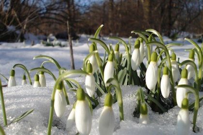 Pogoda na Wielkanoc 2026 w Polsce może zaskoczyć. Meteorolodzy mówią o śniegu i mrozie
