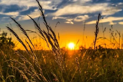 Prognoza pogody na lato w Polsce 2026: temperatury, opady i możliwe zmiany