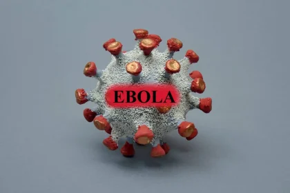 Czy Ebola może zagrozić Polsce? Nowy alarm zdrowotny po przypadkach w Afryce