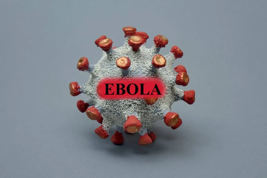 Czy Ebola może zagrozić Polsce? Nowy alarm zdrowotny po przypadkach w Afryce