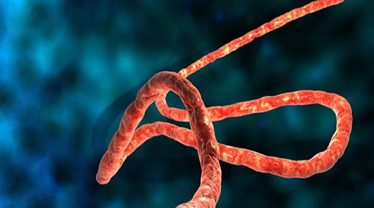 Ebola w Kongu wyhamowuje? WHO mówi o pierwszych oznakach przełomu