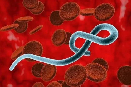 Ebola w Kongu wyhamowuje? WHO mówi o pierwszych oznakach przełomu
