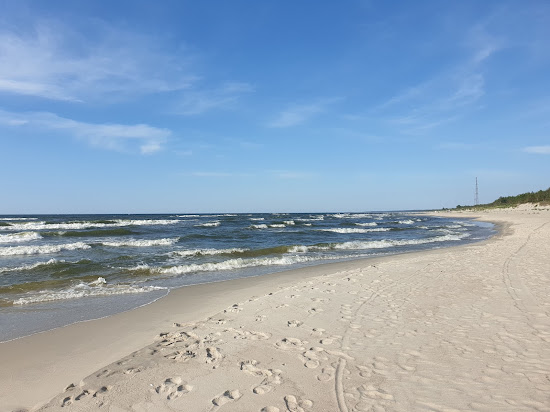 Plaże koło Torunia 2026: gdzie można się kąpać, najlepsze miejsca, jak dojechać