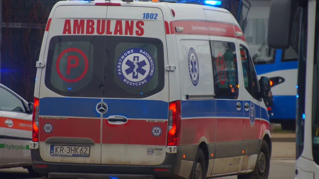 Żmija lewantyńska ukąsiła 16-latka w Małopolsce.  Policja sprawdza, skąd w domu wzięły się groźne gady