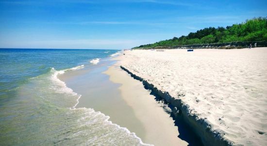 Plaże koło Torunia 2026: gdzie można się kąpać, najlepsze miejsca, jak dojechać