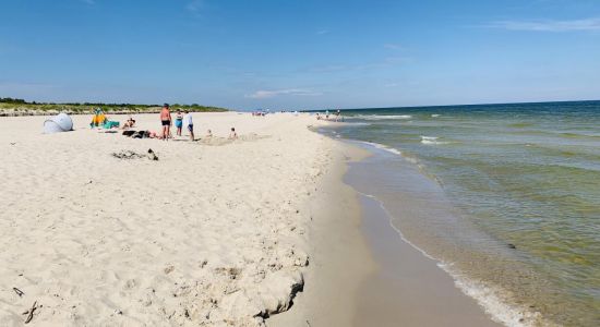 Gdzie kąpać się w Warszawie 2026: najlepsze miejsca, plaże, dojazd, trasy