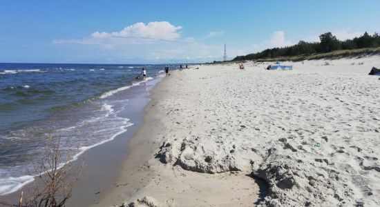 Plaże koło Torunia 2026: gdzie można się kąpać, najlepsze miejsca, jak dojechać