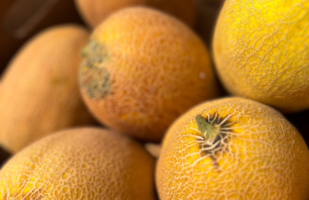 Jak wybrać słodkiego melona? Porady, które ułatwią zakup