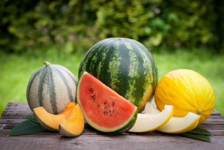 Jak wybrać słodkiego melona? Porady, które ułatwią zakup