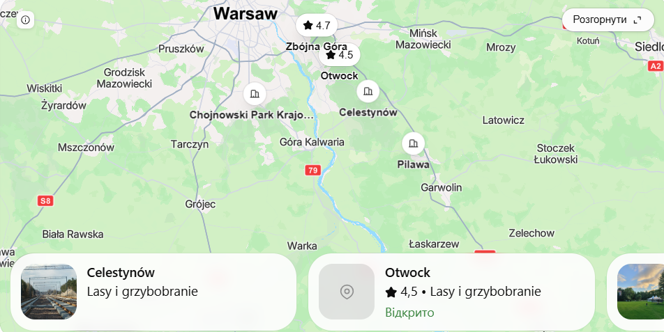 Mapa grzybów Warszawa 2026. Gdzie szukać borowików, podgrzybków i maślaków