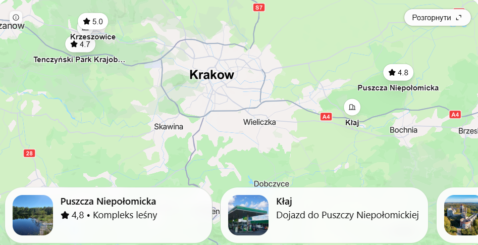 Gdzie na grzyby pod Krakowem w 2026 roku? Najlepsze lasy i sprawdzone kierunki