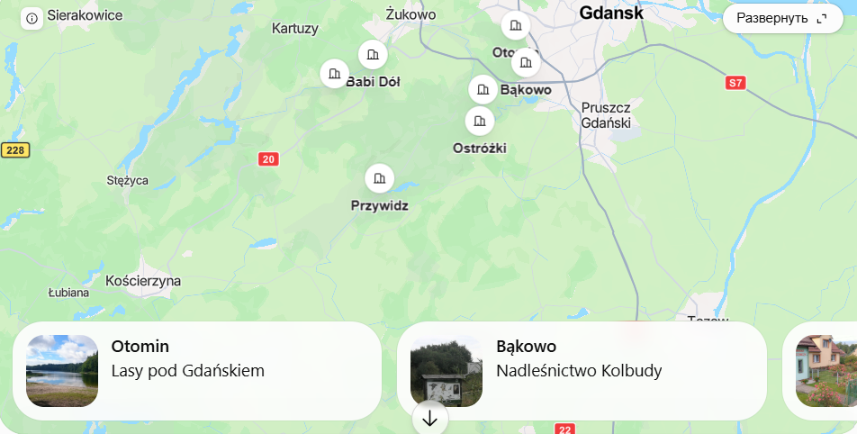 Grzybobranie Gdańsk 2026. Gdzie szukać borowików i podgrzybków?