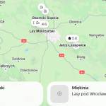 Grzybne miejsca Wrocławia 2026: gdzie zbierać grzyby, najlepsze trasy i jak dojechać