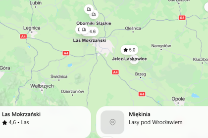 Grzybne miejsca Wrocławia 2026: gdzie zbierać grzyby, najlepsze trasy i jak dojechać