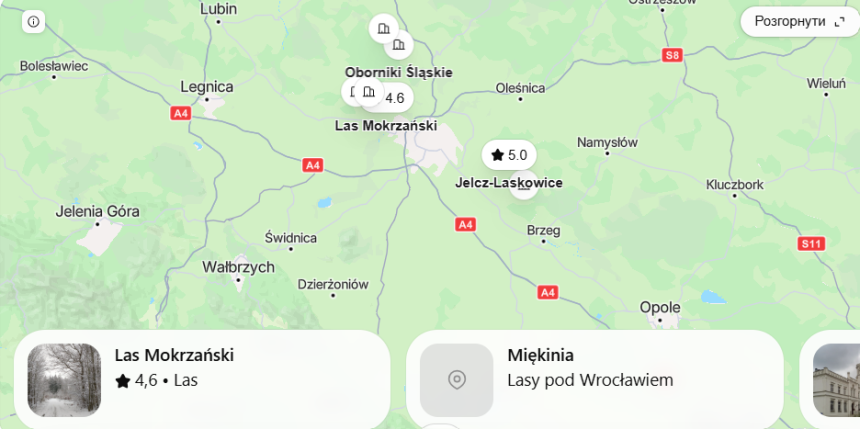 Grzybne miejsca Wrocławia 2026: gdzie zbierać grzyby, najlepsze trasy i jak dojechać