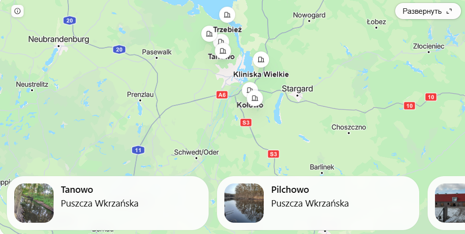 Grzybobranie Gdańsk 2026. Gdzie szukać borowików i podgrzybków?