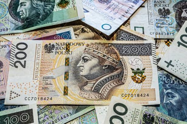 . Ile komornik może zabrać z wypłaty w 2027 roku? Sprawdź nowe limity