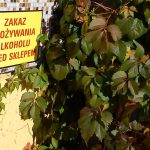 Tabliczka „Zakaz spożywania alkoholu przed sklepem” na ścianie sklepu w Poznaniu